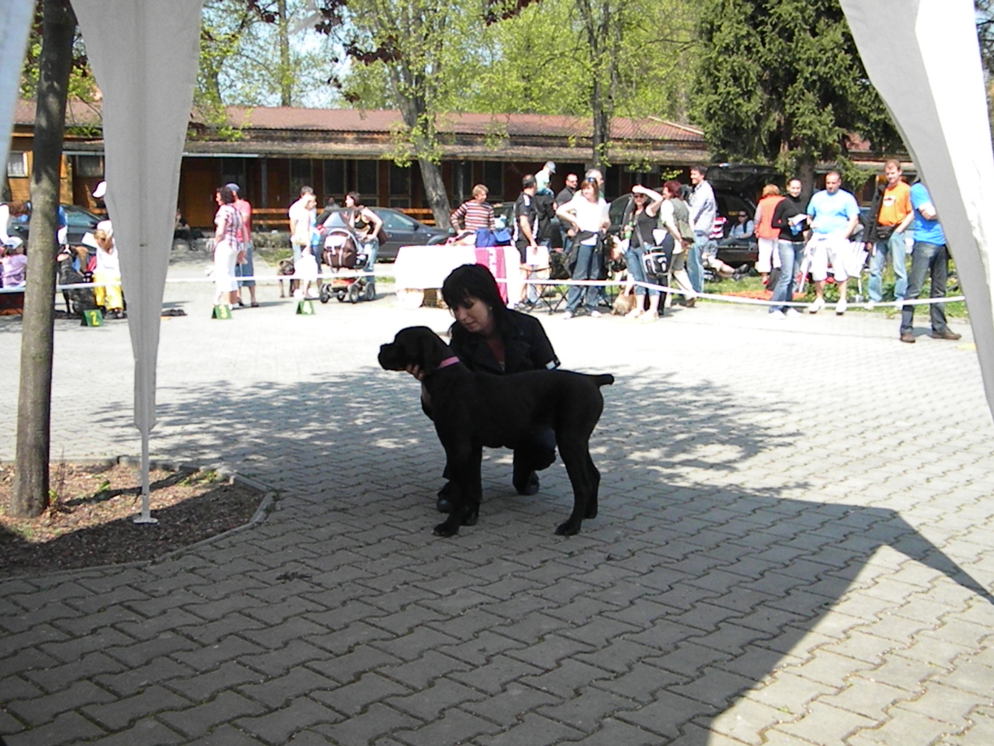 DSCN3704