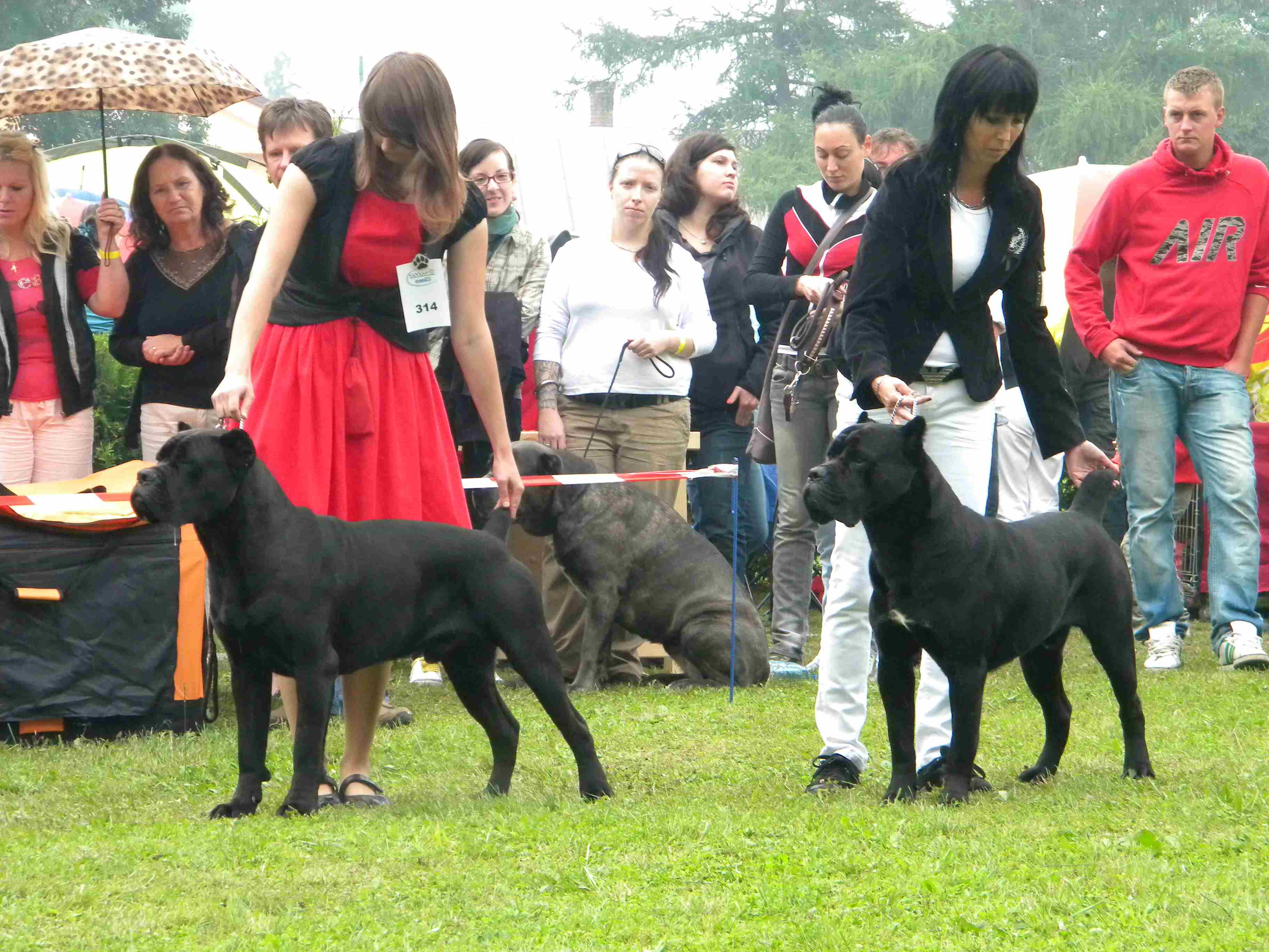 DSCN4744 (1)